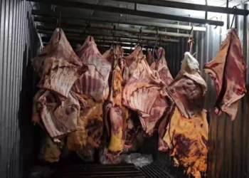 800 toneladas de carne bovina estragada (cortes nobres) ficaram submersas por 30 dias nas enchentes do Rio Grande do Sul. • Reprodução/ PCRJ