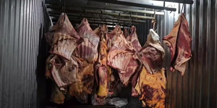 800 toneladas de carne bovina estragada (cortes nobres) ficaram submersas por 30 dias nas enchentes do Rio Grande do Sul. • Reprodução/ PCRJ
