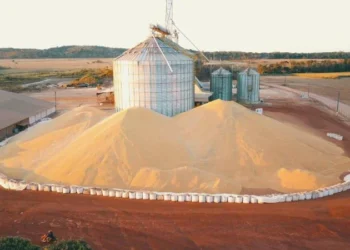 Falta de armazéns preocupa produtores, diante de nova safra recorde Foto: Estadão MT
