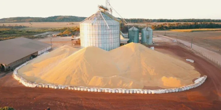 Falta de armazéns preocupa produtores, diante de nova safra recorde Foto: Estadão MT