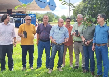 crédito foto: Divulgação