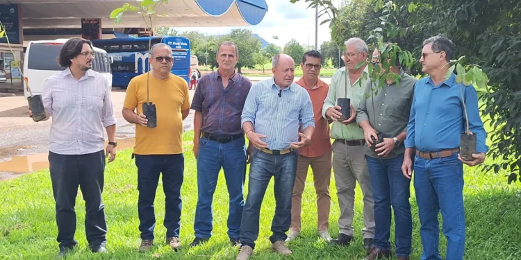 Fundação Municipal de Meio Ambiente doa 200 mudas para projeto de sustentabilidade