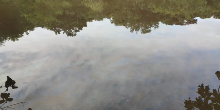 GMP Ambiental acompanha derramamento de óleo no Parque Cesamar