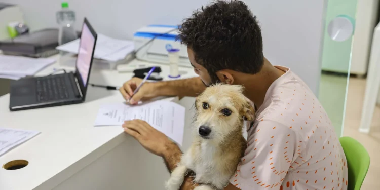 Saúde de Palmas realiza as primeiras castrações de cães e gatos de 2025
