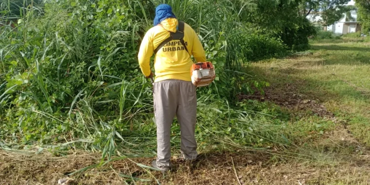 Equipes da Zeladoria realizam mais um dia intenso de trabalho na Capital