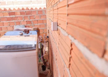 Ovitrampas foram instaladas em imóveis residenciais e ficarão no local por cinco dias