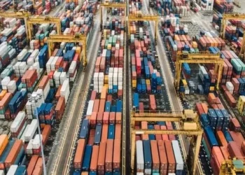 México está entre os dez maiores destinos da carne de frango e suína do Brasil — Foto: Globo Rural