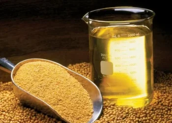 Farelo e óleo de soja estão entre os principais produtos exportados pela Argentina — Foto: Globo Rural