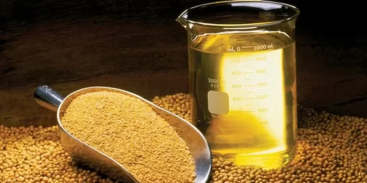 Receita com exportações de grãos e derivados na Argentina cresceu 27% em 2024