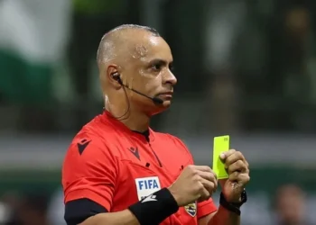 Wilton Pereira Sampaio em jogo do Brasileirão • Foto: Cesar Greco/Palmeiras/by Canon