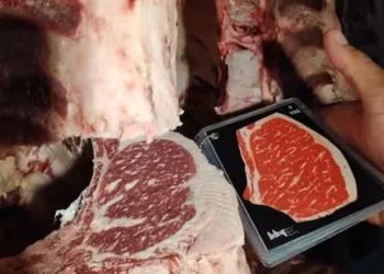 Exportações brasileiras de carne devem continuar firmes, diz Cepea — Foto: Divulgação/Brazil Beef Quality