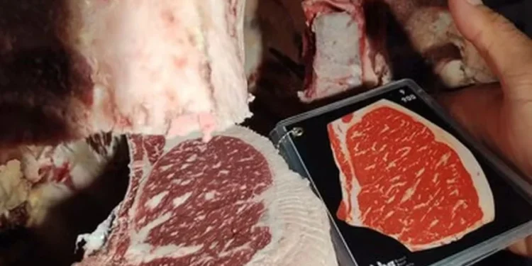 Ano deve ser de expansão para a pecuária, mas em ritmo menor