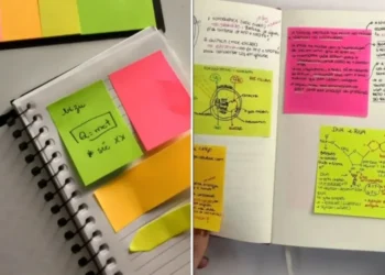 Veja exemplos de bizuários • TikTok/Bruna Scali Figueiredo; TikTok/Sofia Ferraz