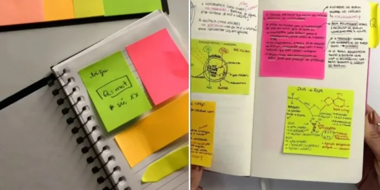 Bizuário: o que é e como criar o seu