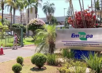 Prazo de inscrições para concurso público da Embrapa vai até o dia 14 deste mês — Foto: Divulgação/Embrapa