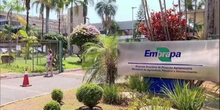 Embrapa estende prazo de inscrição em concurso e abre vagas para veterinários e zootecnistas