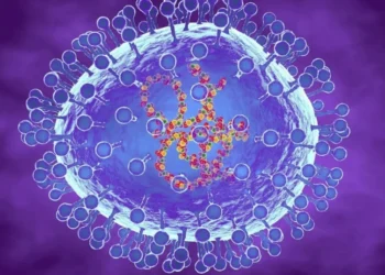 O metapneumovírus humano não é um vírus novo, sendo conhecido desde 2001 • ROGER HARRIS/SCIENCE PHOTO LIBRARY/GettyImages