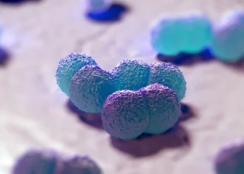 • Royalty Stock Photo/Science Photo Library