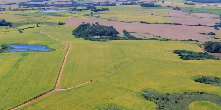 Principais tendências para o campo em 2025