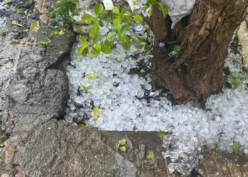 Queda de granizo após chvua em SP • Enel