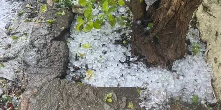 SP: chuva causa apagão em 650 mil casas; 150 mil seguem no escuro