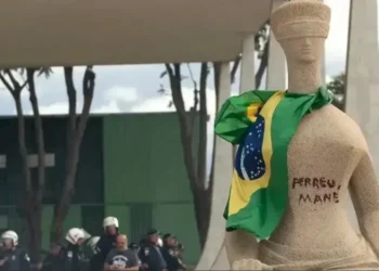 Dados fazem parte de balanço que marca dois anos dos atos antidemocráticos • Joedson Alves/Agencia Brasil