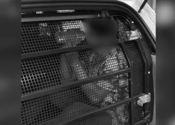 Caso aconteceu na zona rural de Rio Sono, localizado a cerca de 173 quilômetros de Palmas • Secretaria da Segurança Pública de Tocantins