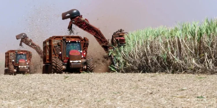BNDES aprova R$1 bi para projeto de etanol 2G da Raízen