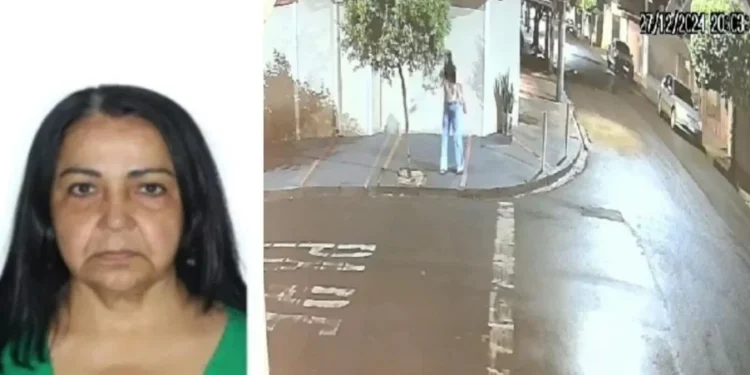 Vídeo mostra momento em que mulher envenena e mata gatos no interior de SP