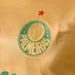 Palmeiras apresenta novo patrocínio máster após década de “Era Crefisa”
