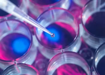 Células-tronco têm grande potencial na medicina vascular • Getty Images