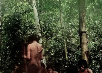 Imagens inéditas da Funai mostram a presença de indígenas isolados em TIs, em Rondônia e Mato Grosso • Divulgação/Funai