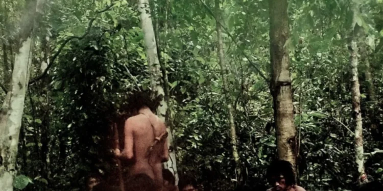 Funai divulga imagens de indígenas isolados em Rondônia e Mato Grosso