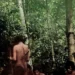Funai divulga imagens de indígenas isolados em Rondônia e Mato Grosso