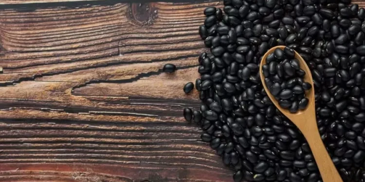 Costa Rica abre mercado para feijão brasileiro