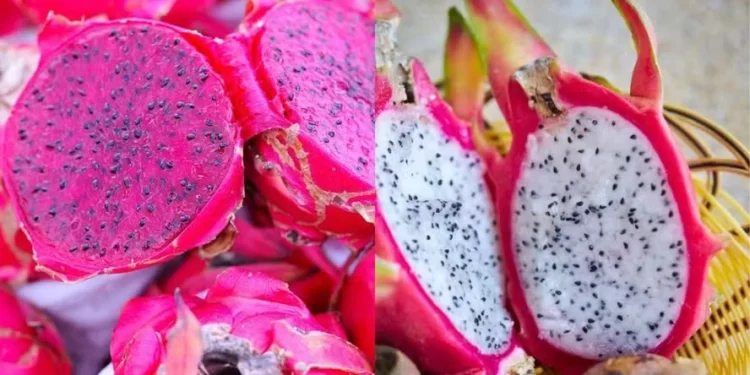 Branca ou vermelha? Veja como descobrir a cor da polpa da pitaya