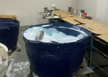 Fábrica de sabão em pó falsificado funcionava na região metropolitana de Belo Horizonte (MG) • Divulgação