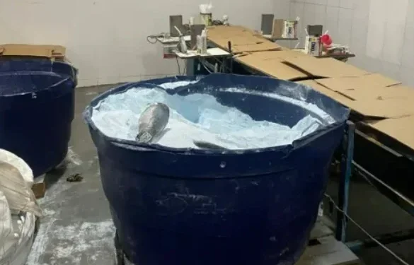 Polícia fecha fábrica de sabão em pó falsificado em MG