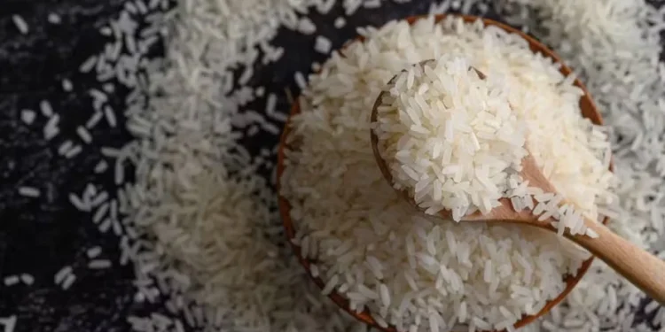 Produtores gaúchos criticam dados da Conab sobre safra de arroz