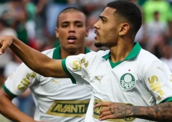 Palmeiras encara o Sport nesta quarta-feira • Divulgação/Palmeiras