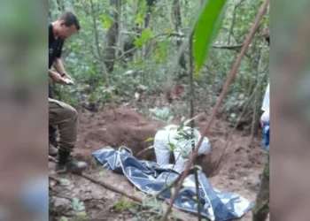 Cemitério clandestino é encontrado em MT • Divulgação/PC-MT
