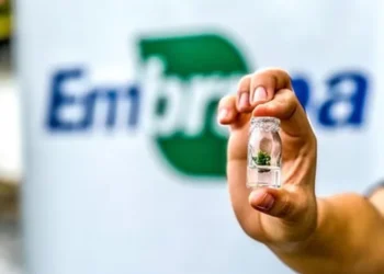 Provas objetivas e discursivas estão marcadas para o dia 23 de março — Foto: Saulo Coelho/Embrapa