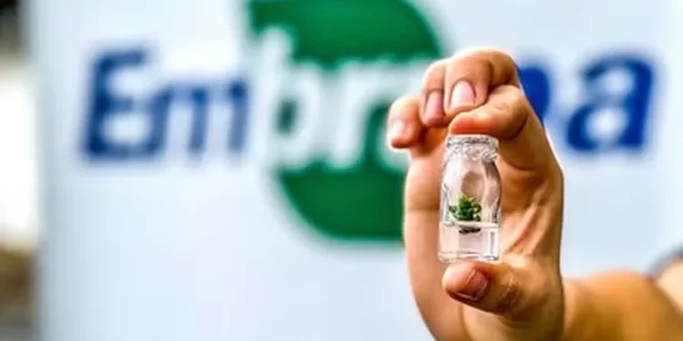 Provas objetivas e discursivas estão marcadas para o dia 23 de março — Foto: Saulo Coelho/Embrapa