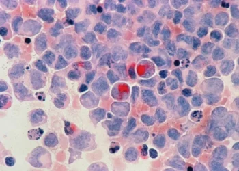 Unsplash/Reprodução