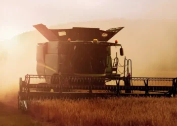 • Robert Wiedemann/ Unsplash