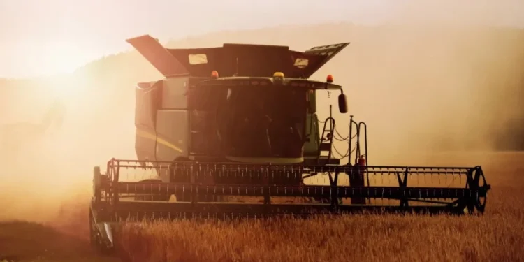 • Robert Wiedemann/ Unsplash