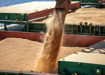 Os investidores esperam para ver se Donald Trump, novo presidente dos EUA, irá impor taxas para importação de produtos agrícolas — Foto: Claudio Neves/Portos do Paraná