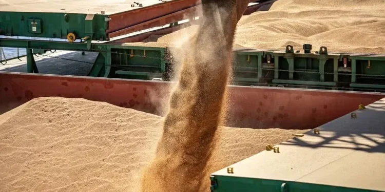 Os investidores esperam para ver se Donald Trump, novo presidente dos EUA, irá impor taxas para importação de produtos agrícolas — Foto: Claudio Neves/Portos do Paraná