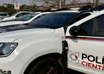 Viaturas do Instituto de Criminalística (IC) e Instituto Médico Legal (IML) de São Paulo. • Reprodução/ Governo de São Paulo