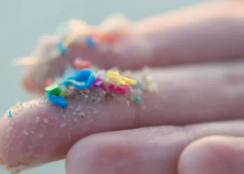 Microplásticos são partículas pequenas de plásticos que contaminam água e solo e podem ser ingeridos por pessoas e animais, trazendo riscos à saúde • Alistair Berg/GettyImages